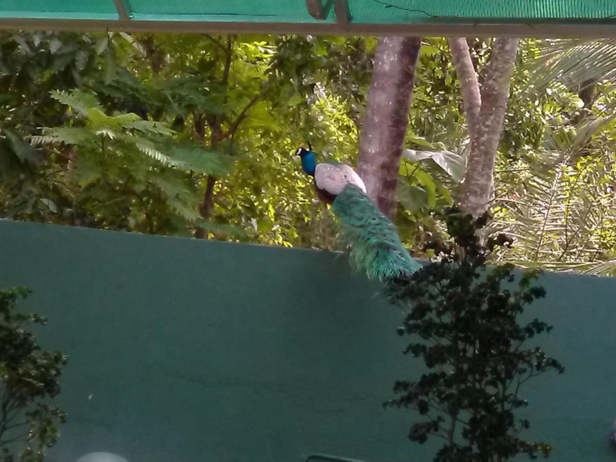 Shaa Lodge Tissamaharama Bagian luar foto
